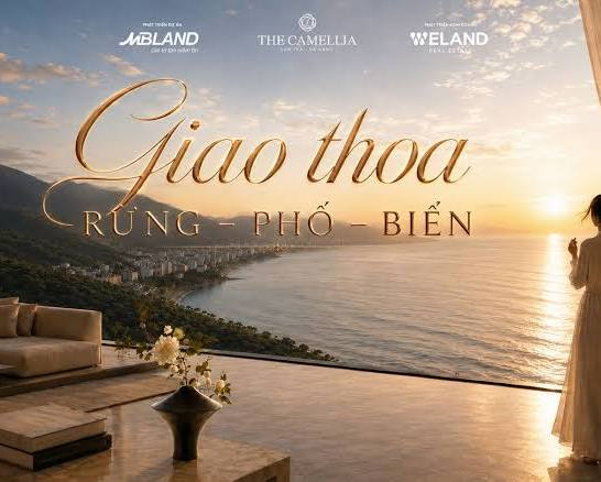 Sky Lounge & Sky Park (Tầng cao)