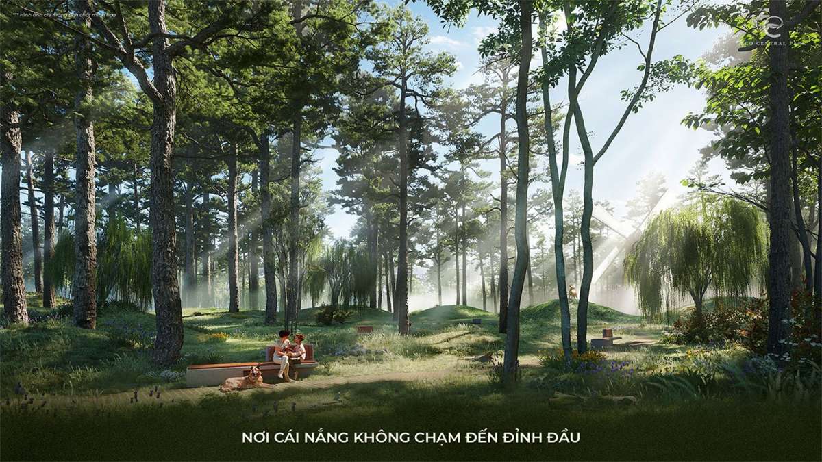 Nơi Cái Nắng Không Chạm Đến Đỉnh Đầu