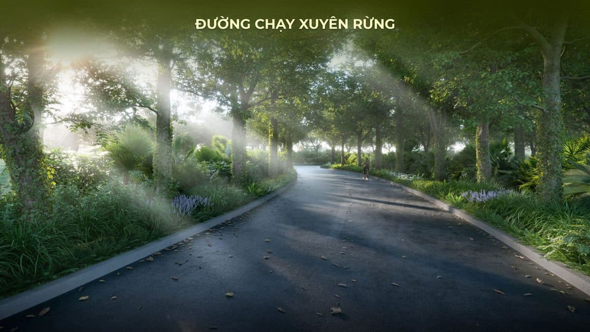 Đường chạy bộ xuyên rừng