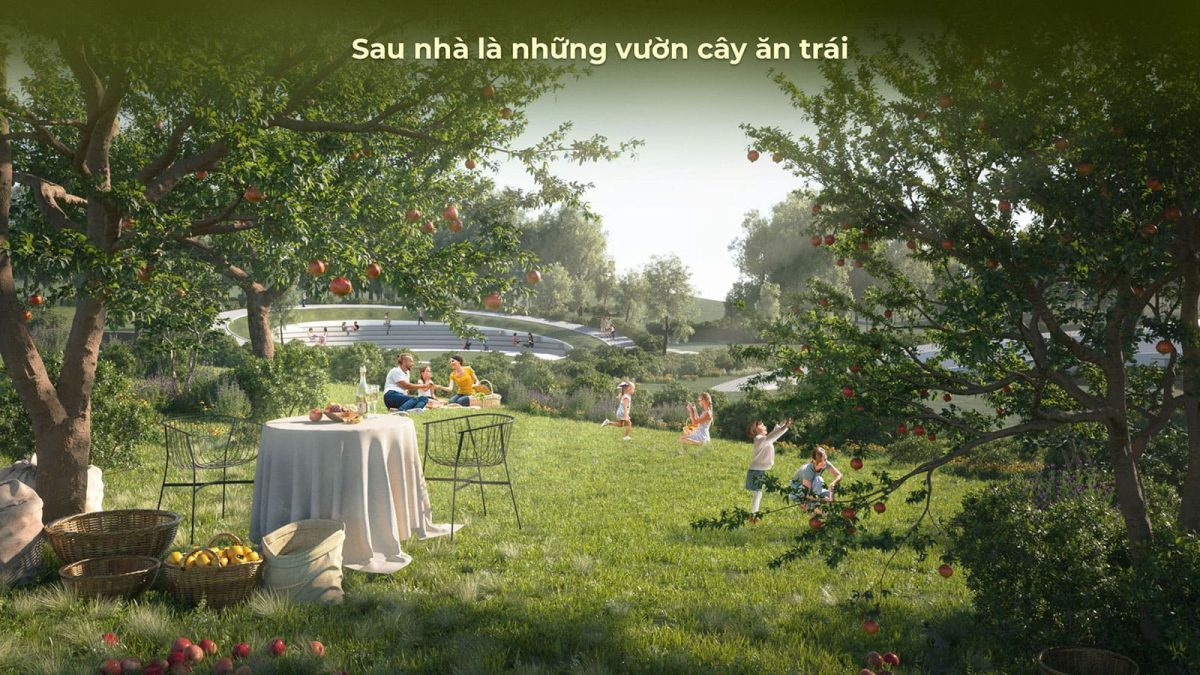 Khu vườn cây ăn trái sum suê