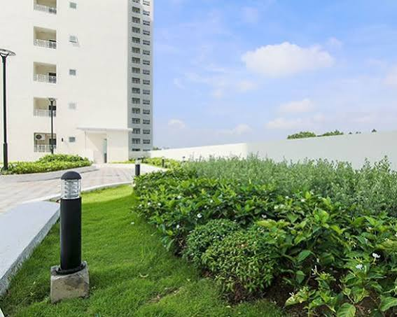 Công viên cây xanh & Đường dạo bộ