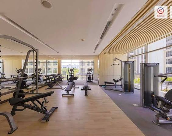 Phòng Gym & Fitness hiện đại