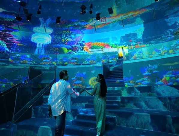 Công viên nghệ thuật ánh sáng diệu kỳ Ice Jungle