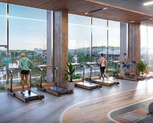  Phòng Gym & Fitness hiện đại