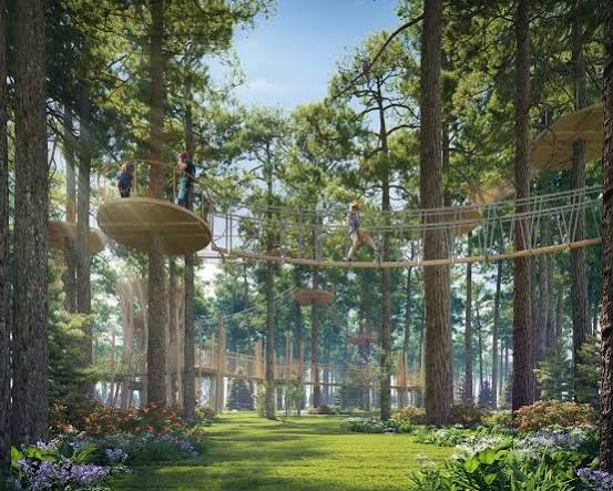 Tree-top Adventure & Cầu treo Tree Walk