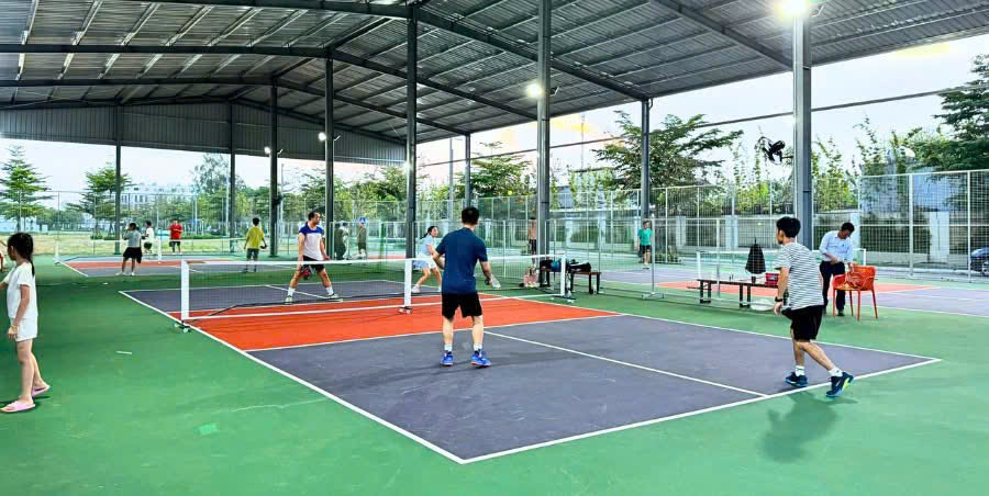 Sân chơi Pickleball
